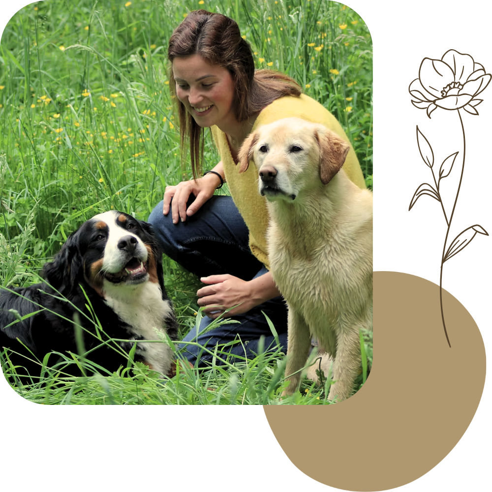 La ferme de Vil Chien