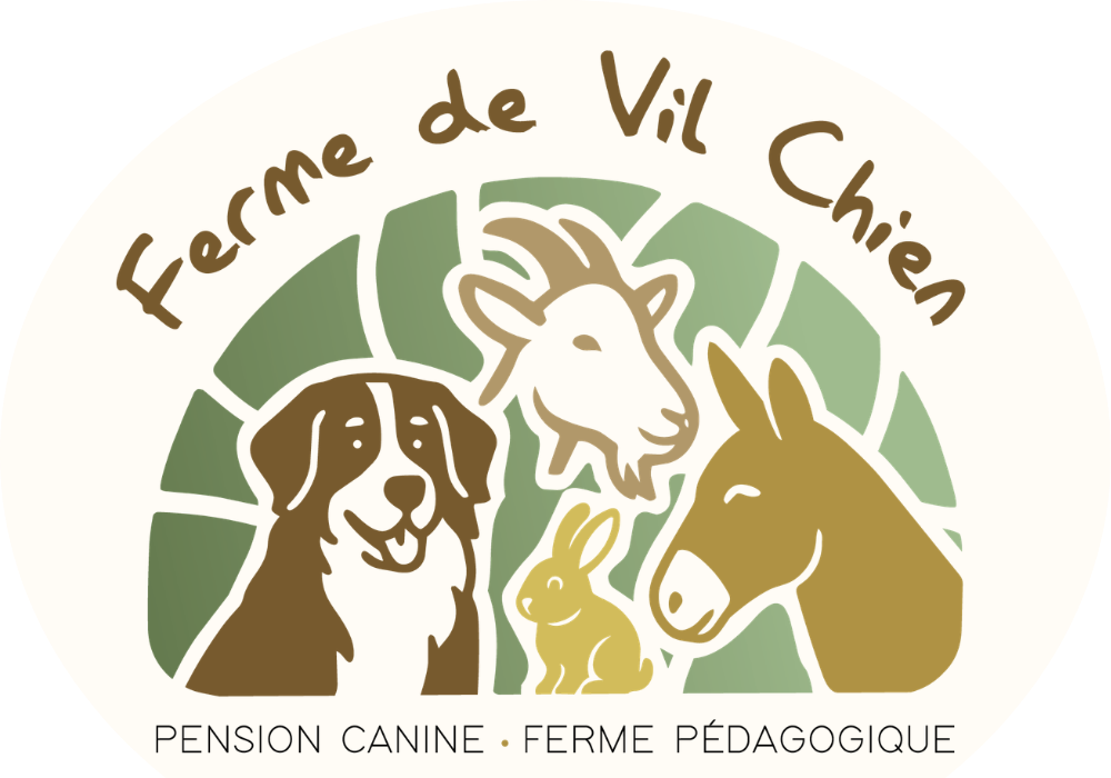 Pension canine & ferme pédagogique Vil Chien